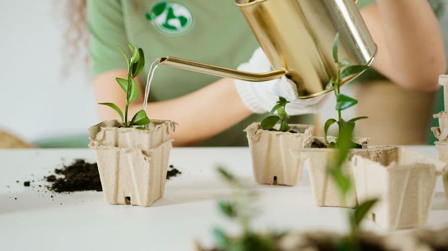 Peinture écologique sans COV : ce que ça change vraiment